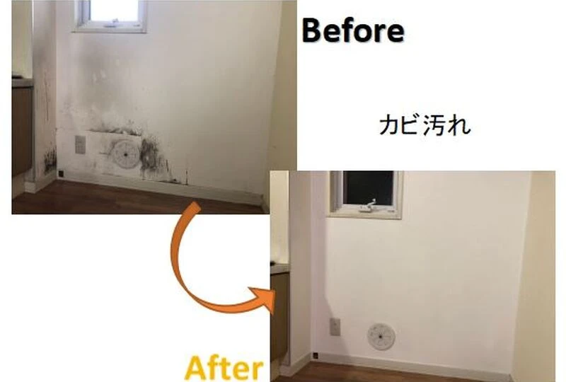 カビ汚れ